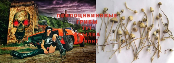 каннабис Новодвинск