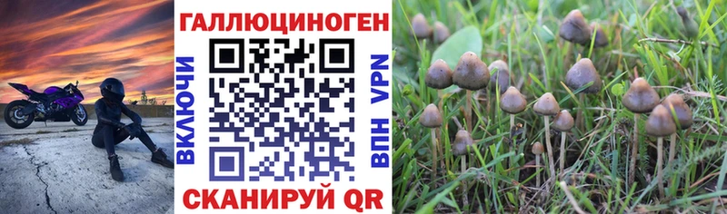 mega ссылка  Севастополь  Псилоцибиновые грибы GOLDEN TEACHER 