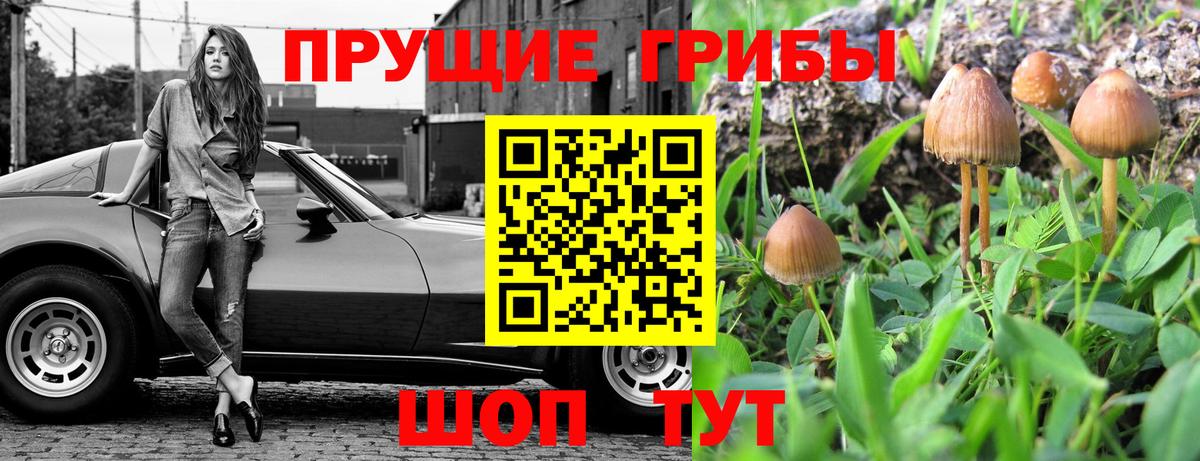 Галлюциногенные грибы Magic Shrooms Севастополь