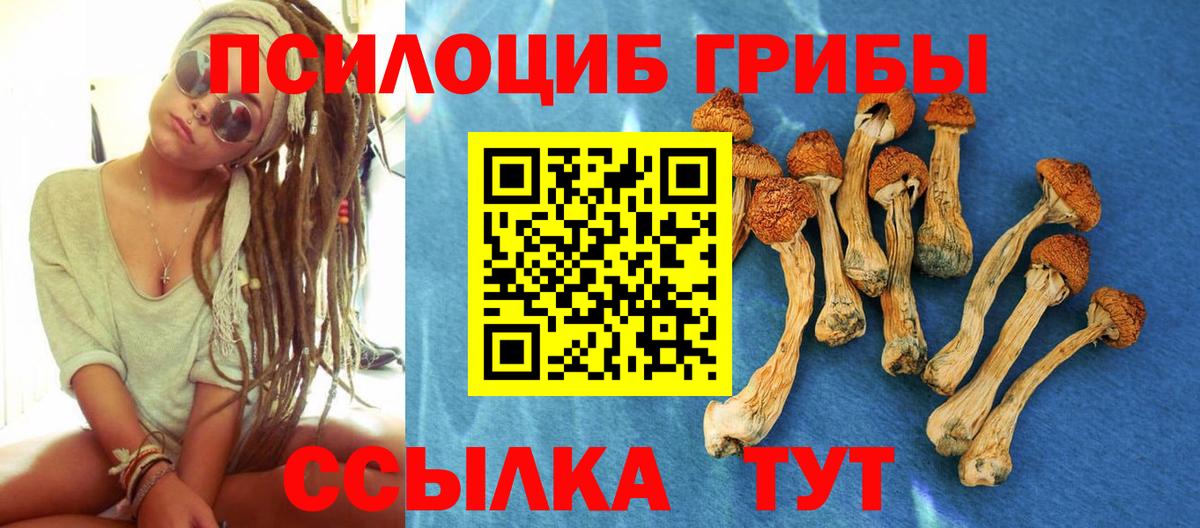 Севастополь  наркотики  Вход с VPN  Галлюциногенные грибы GOLDEN TEACHER 