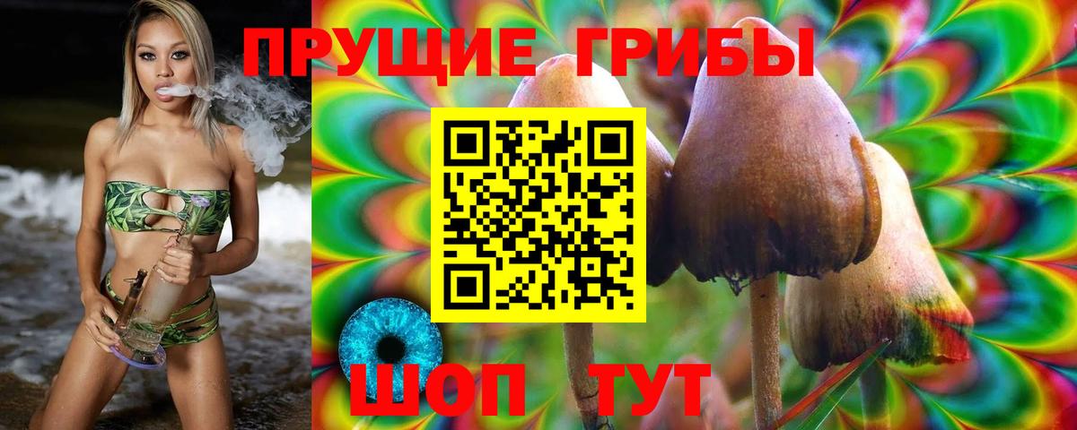 Галлюциногенные грибы Magic Shrooms  Псилоцибиновые грибы ЛСД  Севастополь 