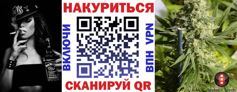 купить наркотики цена  Севастополь  Конопля сатива 